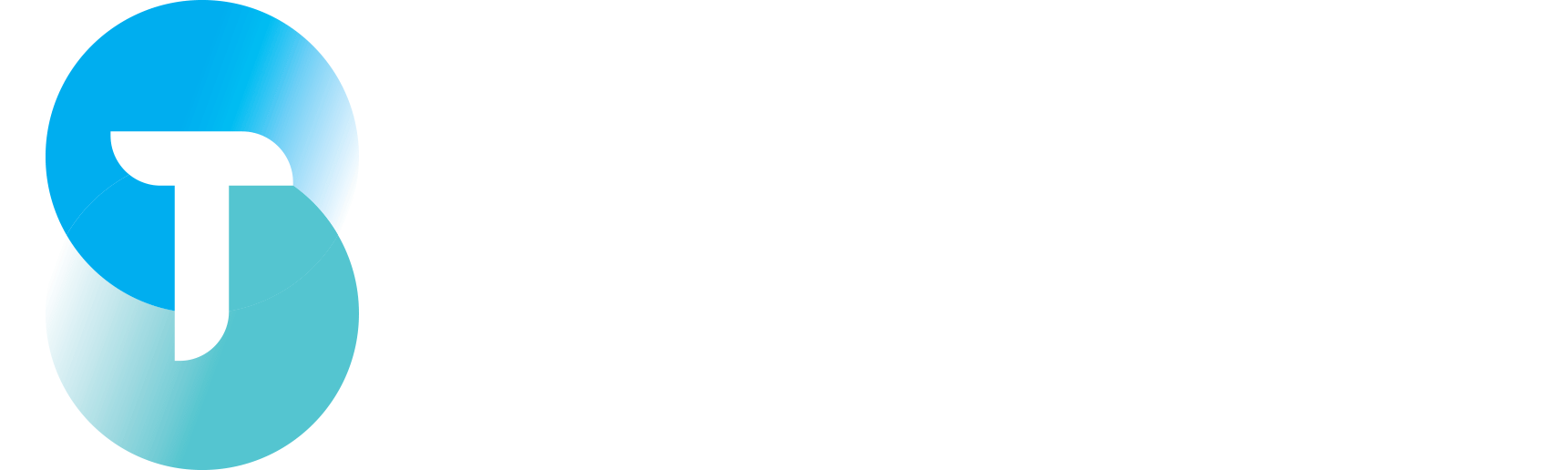 Seletech Logo